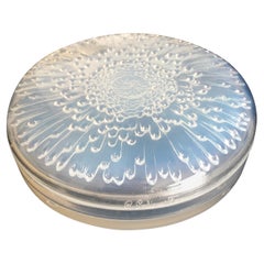 1921 Rene Lalique Tokyo Opalescent Box Jar, Chrysanthemum Flower