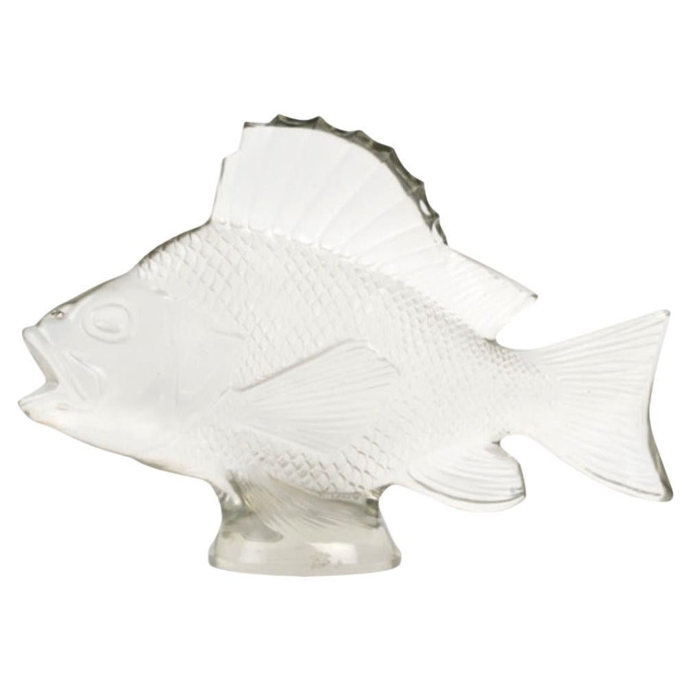 1922 - RENÉ LALIQUE Motivo decorativo "Grande pesce e alghe"