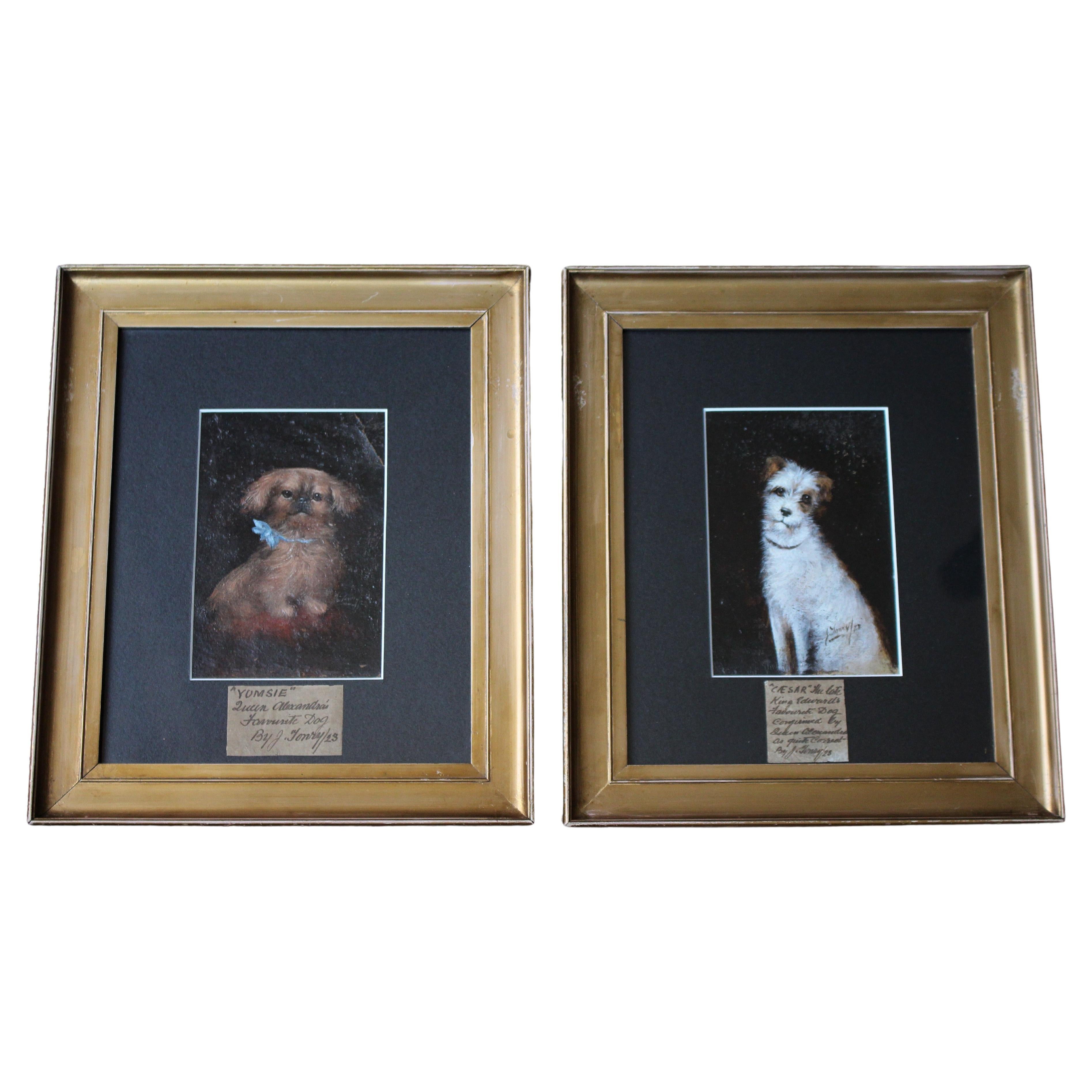 1923 English School J.Tonry 'Yumsie' & 'Caesar' Huile sur carton Maison de campagne en vente
