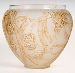1923 René Lalique - Vase Nefliers Frosted Glass With Sepia Patina