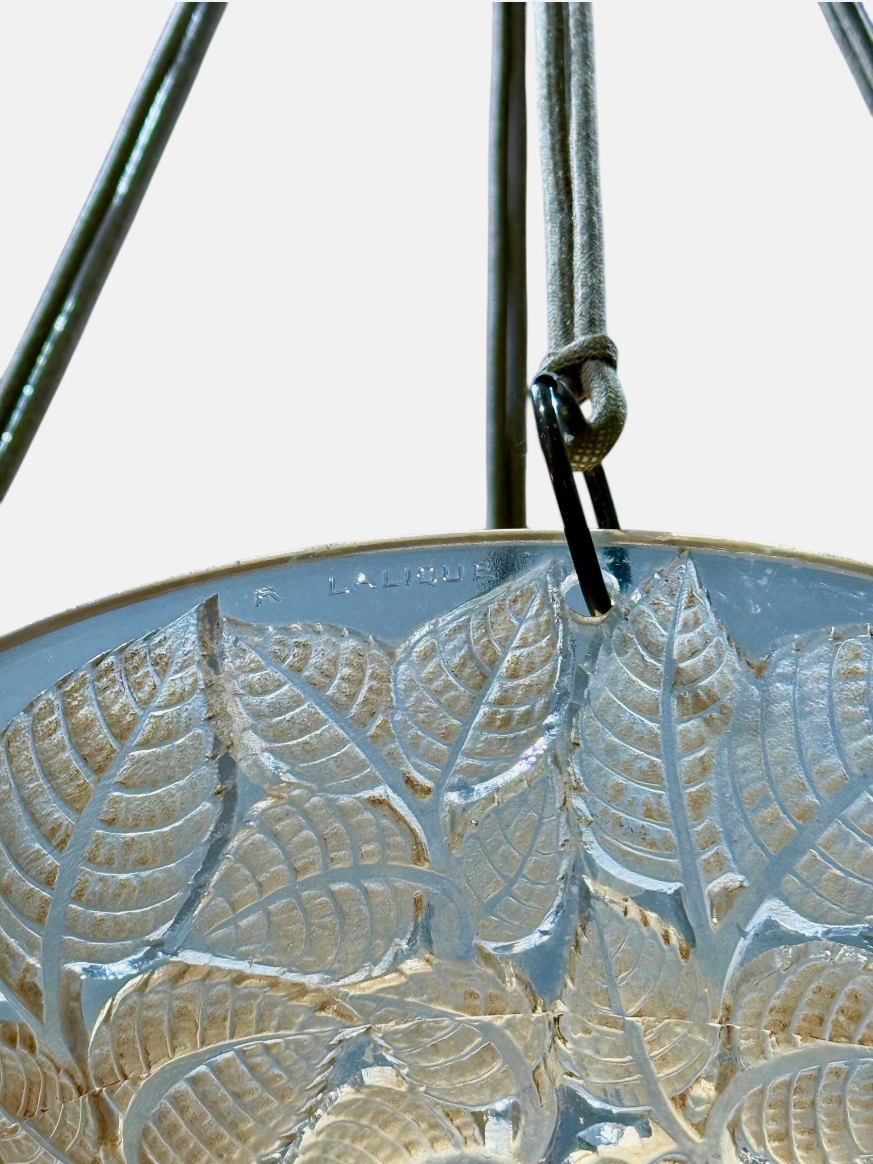 Francese 1924 René Lalique Plafoniera Lampadario Charmes Vetro Patina Seppia in vendita