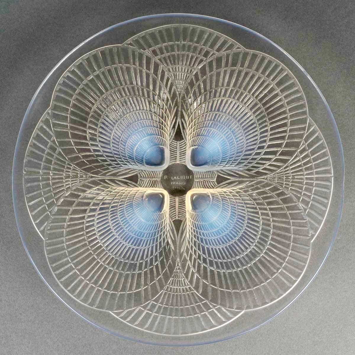 Dish Plate 