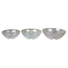 Antique 1924 René Lalique - Set Of Three Bowls Coquilles Opalescent Glass