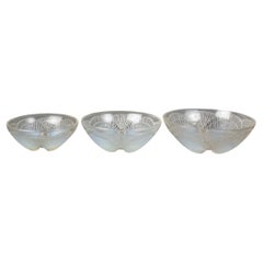 1924 René Lalique - Ensemble de trois coupes Coquilles Verre opalescent