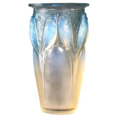 1924 René Lalique - Vase Ceylan en verre opalescent à patine bleue - Perroquets