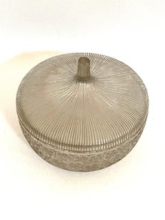 1926 René Lalique Eglantines Box Frosted Glass with Sepia Patina, Flowers