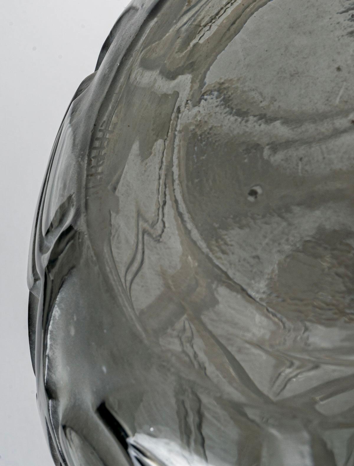 Early 20th Century 1926 René Lalique Sophora Vase in Grey Glass with Acid White Patina Leaves
