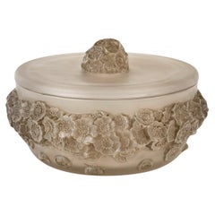 1927 René Lalique - Box Primeveres Frosted Glass With Sepia Patina