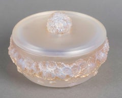 1927 Rene Lalique Box Primeveres Opalescent Glass with Sepia Patina