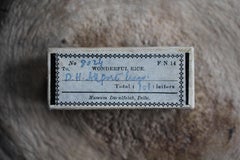 1928 A Wonderful Grain of Rice 101 Letters Curiosity Delhi to Dulwich Folk Art