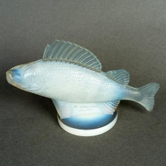 1928 René Lalique Car Mascot Hood Ornament Perche Opalescent Glass Blue Patina