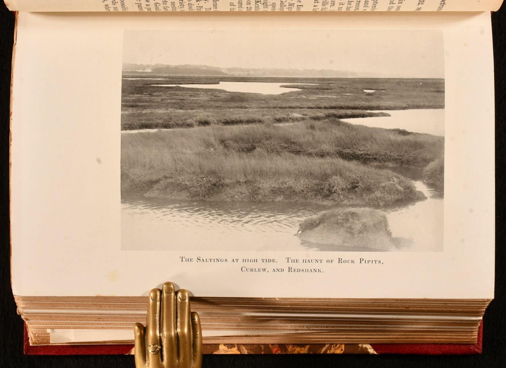 1929-1935 A History of the Birds of Essex and Middlesex de William E. Williams en vente 4