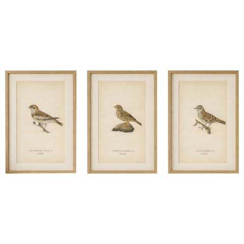 1929 Scandinavian Bird Prints Trio – Nordic Natural History, Designer Wall Art