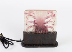 1930 Gabriel Argy-Rousseau Algues Night Lamp in Pate de Verre Cameo Glass