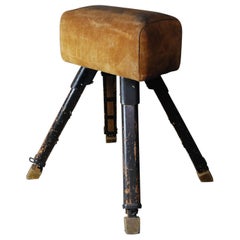 1930 Leather Adjustable Pommel Horse by Gandy