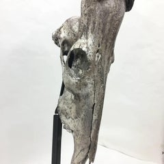 1930s Antique Old Silvered Antelope Head