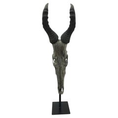 1930s Antique Old Silvered Antelope Head