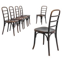Vintage 1930s Austrian Wooden Dining Chairs by Thonet, Set of Six
