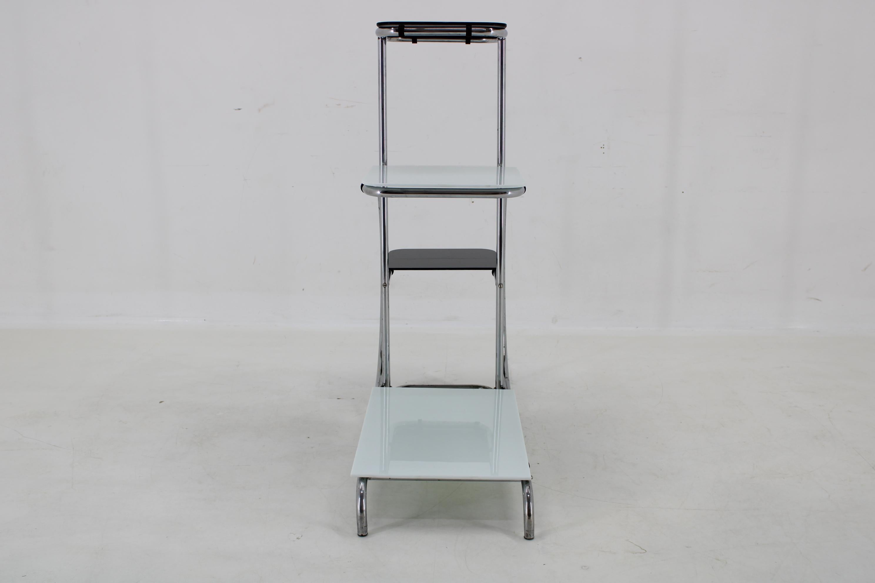 1930s Bauhaus Flower Stand with Glass, Czechoslovakia For Sale 1