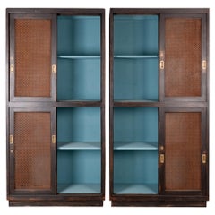 1930s Black Patinated Sliding Screen Door Cabinets, a Pair