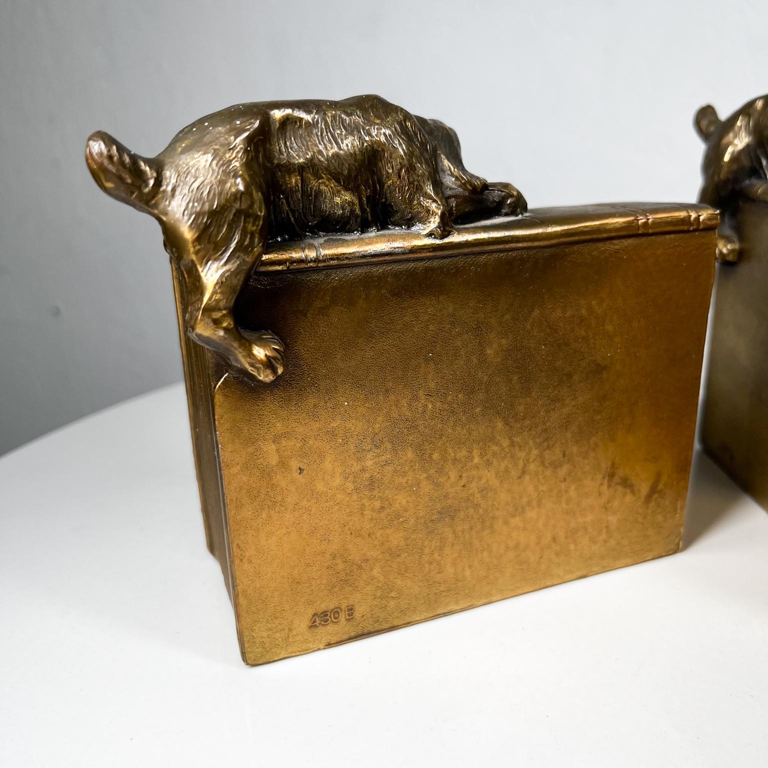 1930s Bronze Laiton Cocker Spaniel Chien Serre-livres Florida USA 4