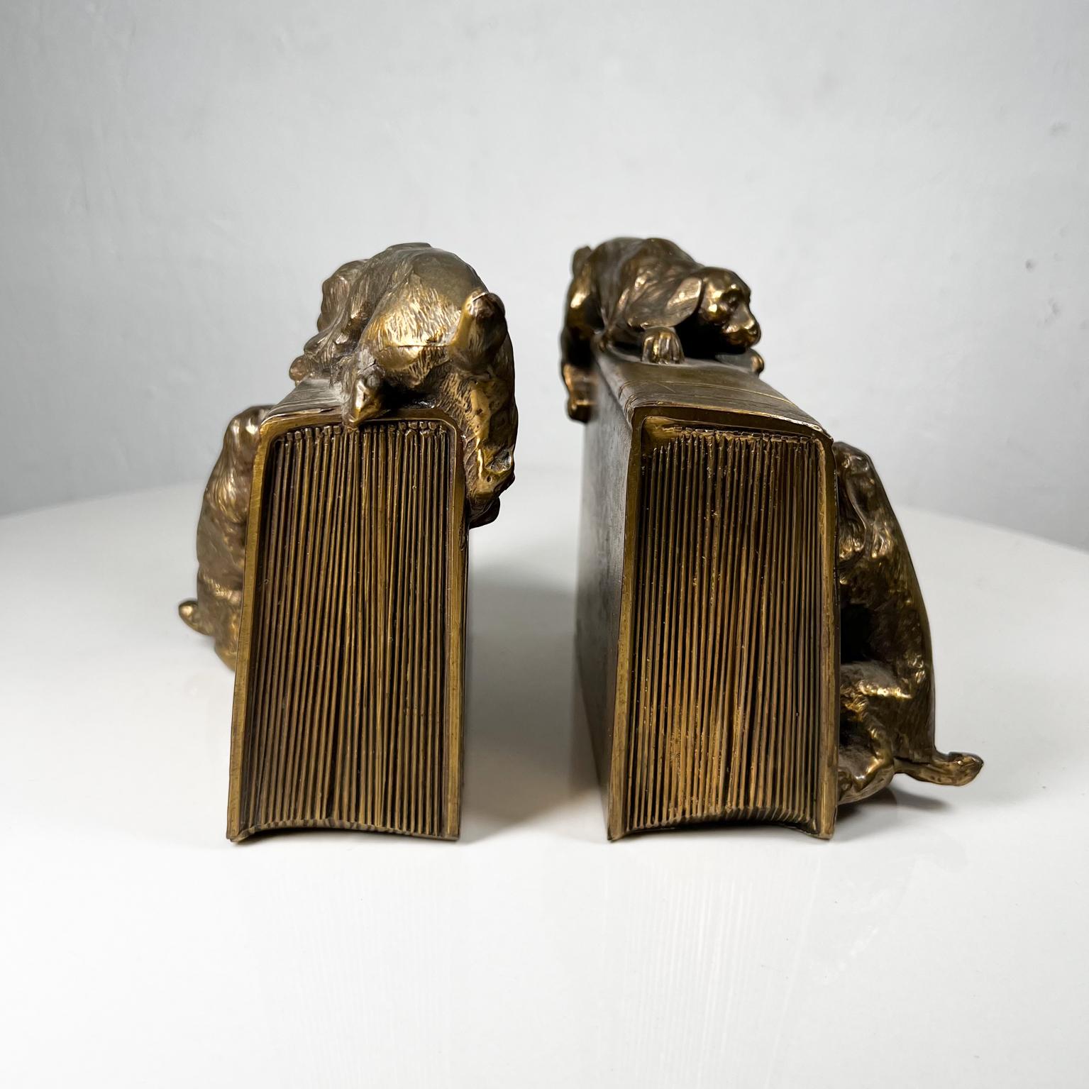 1930s bronze brass cocker spaniel dog bookends Florida USA
Made in the USA by the PM Craftsman Company of Eaton Park, FL. circa1930.
Maker stamp
Measures: 6.38 w x 3.88 d x 5.75 tall (each)
Vintage pair of bookends dogs on books.
Missing felt