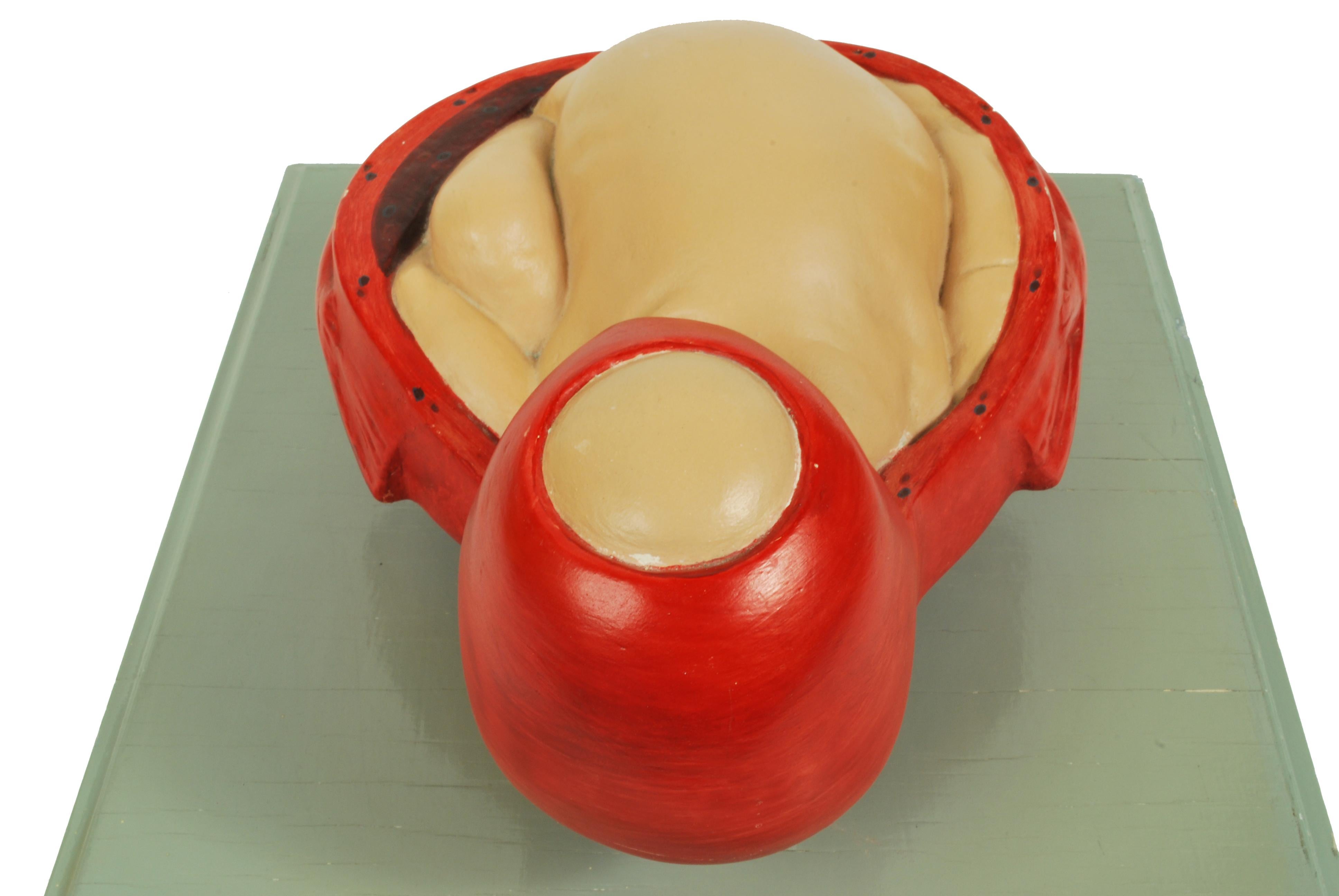 1930s Educational Model Papier Maché and Plaster Decipting a Baby Borning For Sale 6