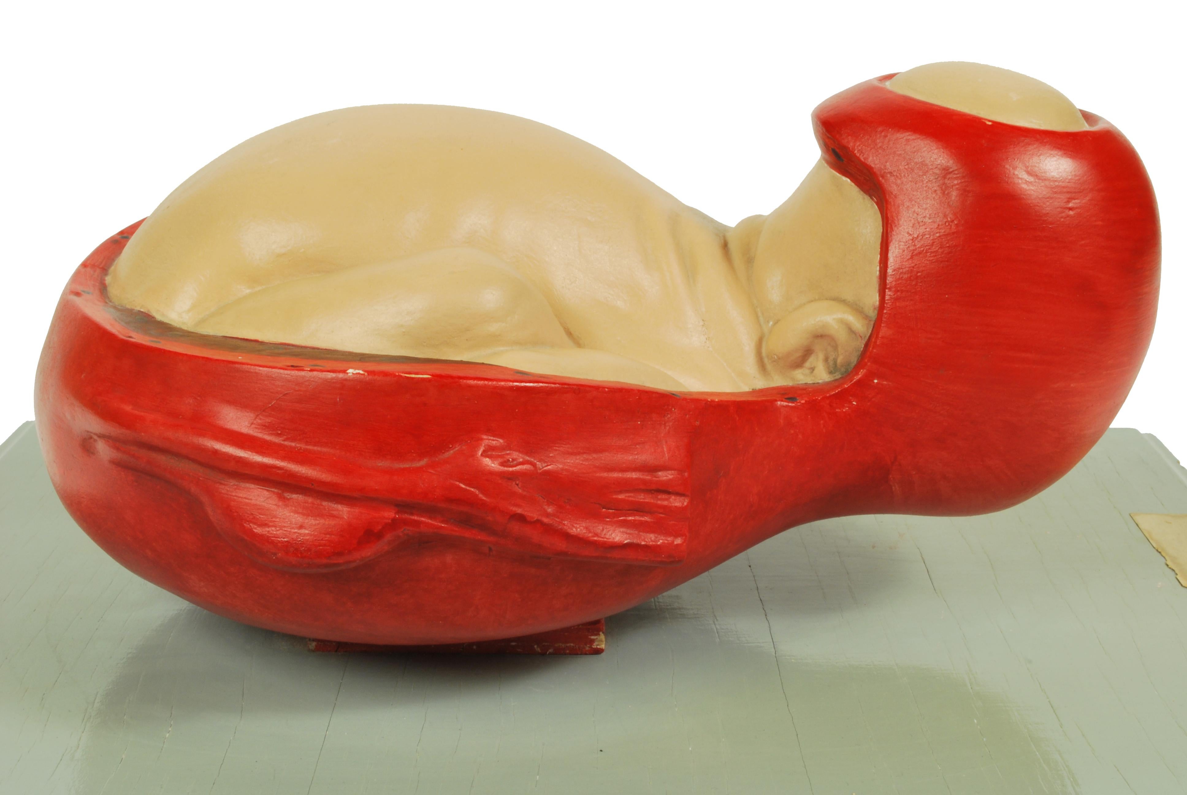 1930s Educational Model Papier Maché and Plaster Decipting a Baby Borning For Sale 7