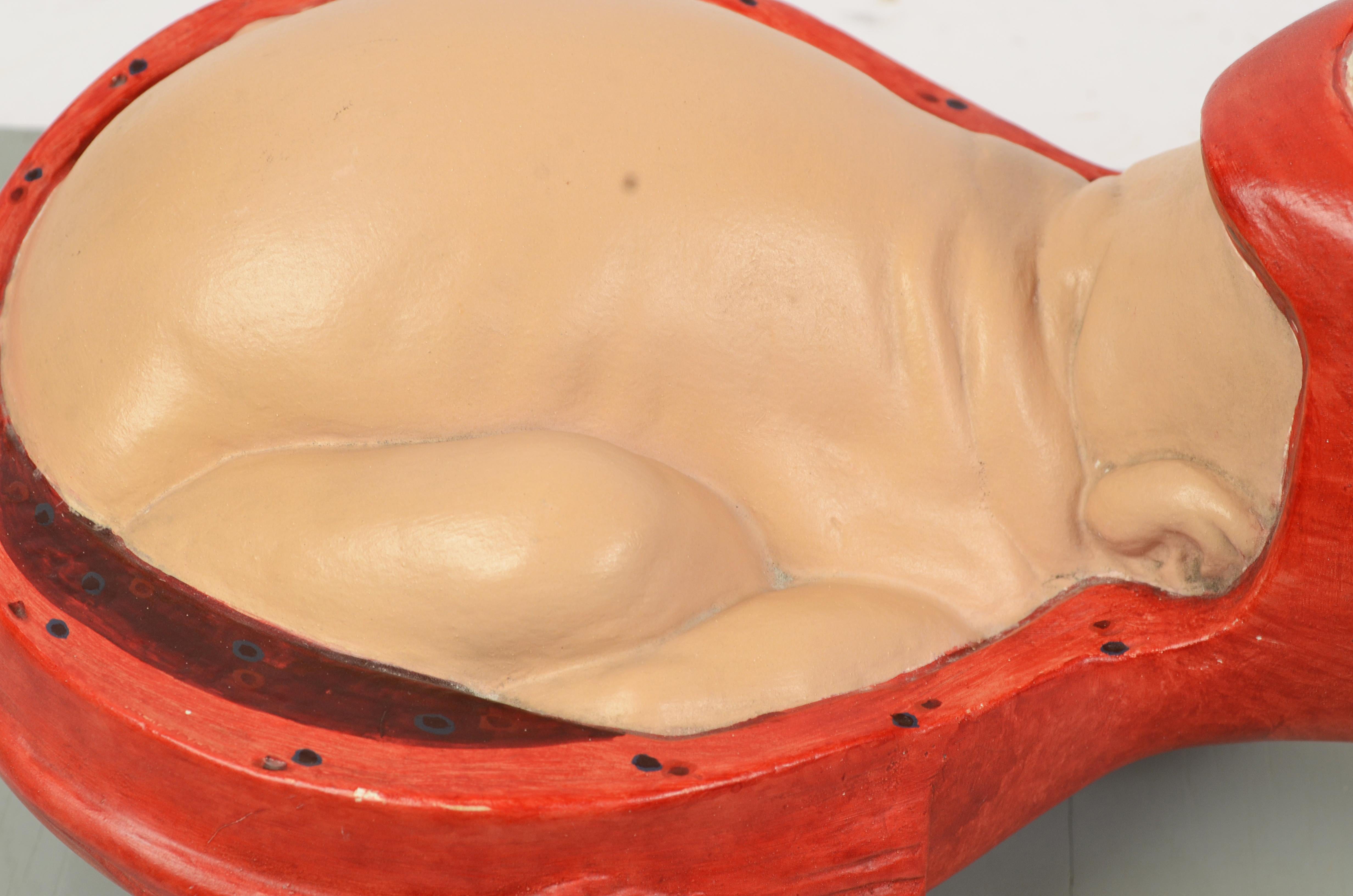 1930s Educational Model Papier Maché and Plaster Decipting a Baby Borning For Sale 9