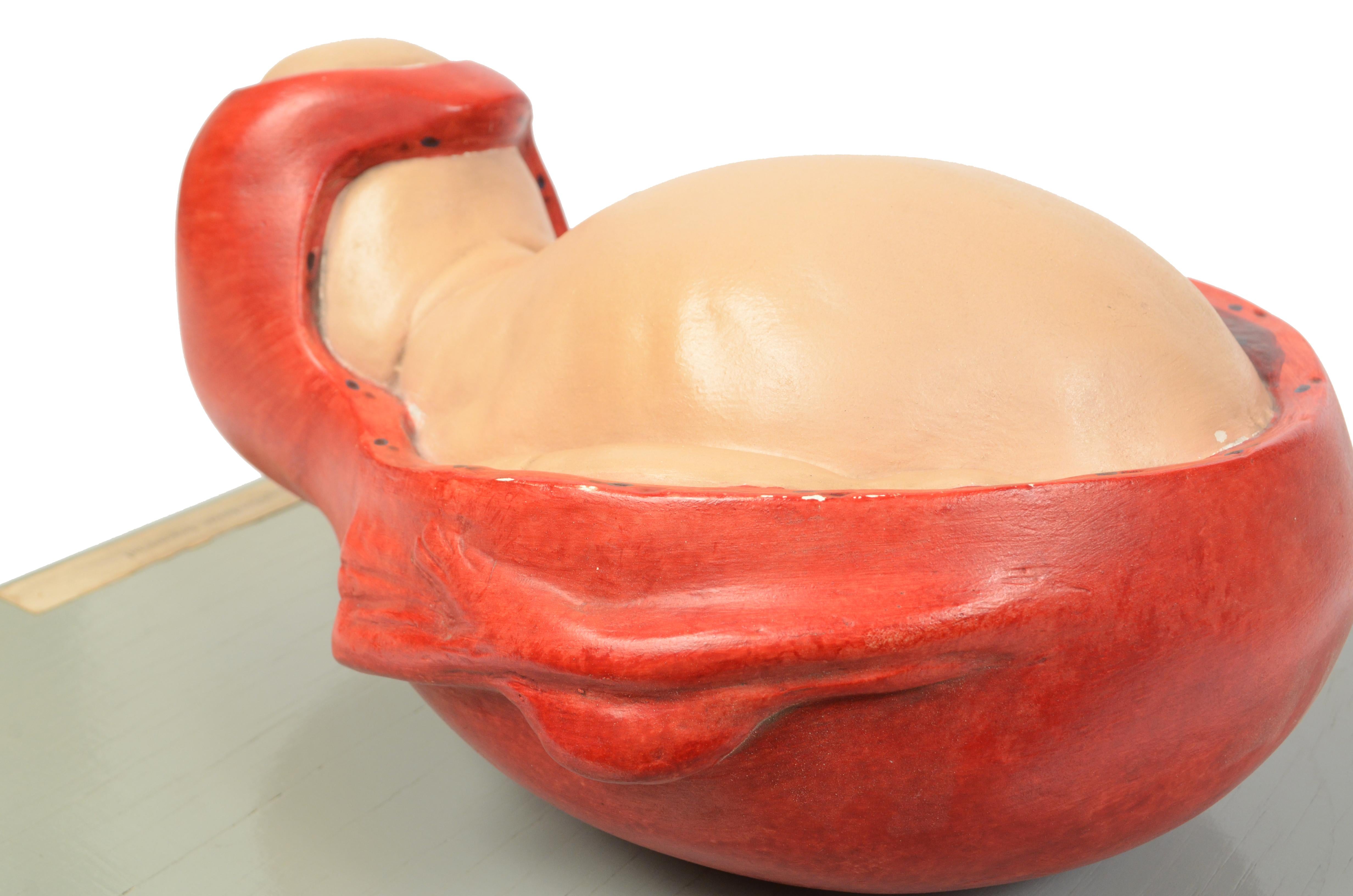 Maquette éducative des années 1930 en papier mâché et plâtre représentant l'accouchement d'un bébé en vente 10