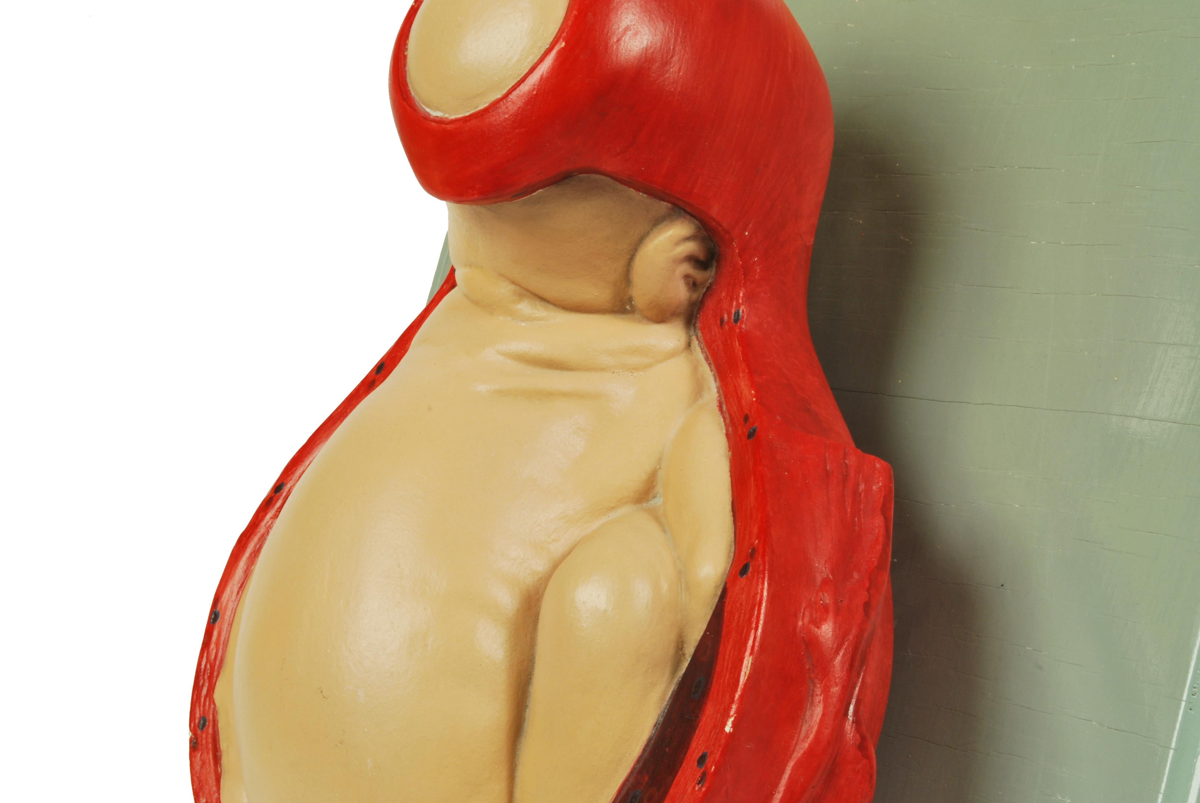 Mid-20th Century 1930s Educational Model Papier Maché and Plaster Decipting a Baby Borning For Sale