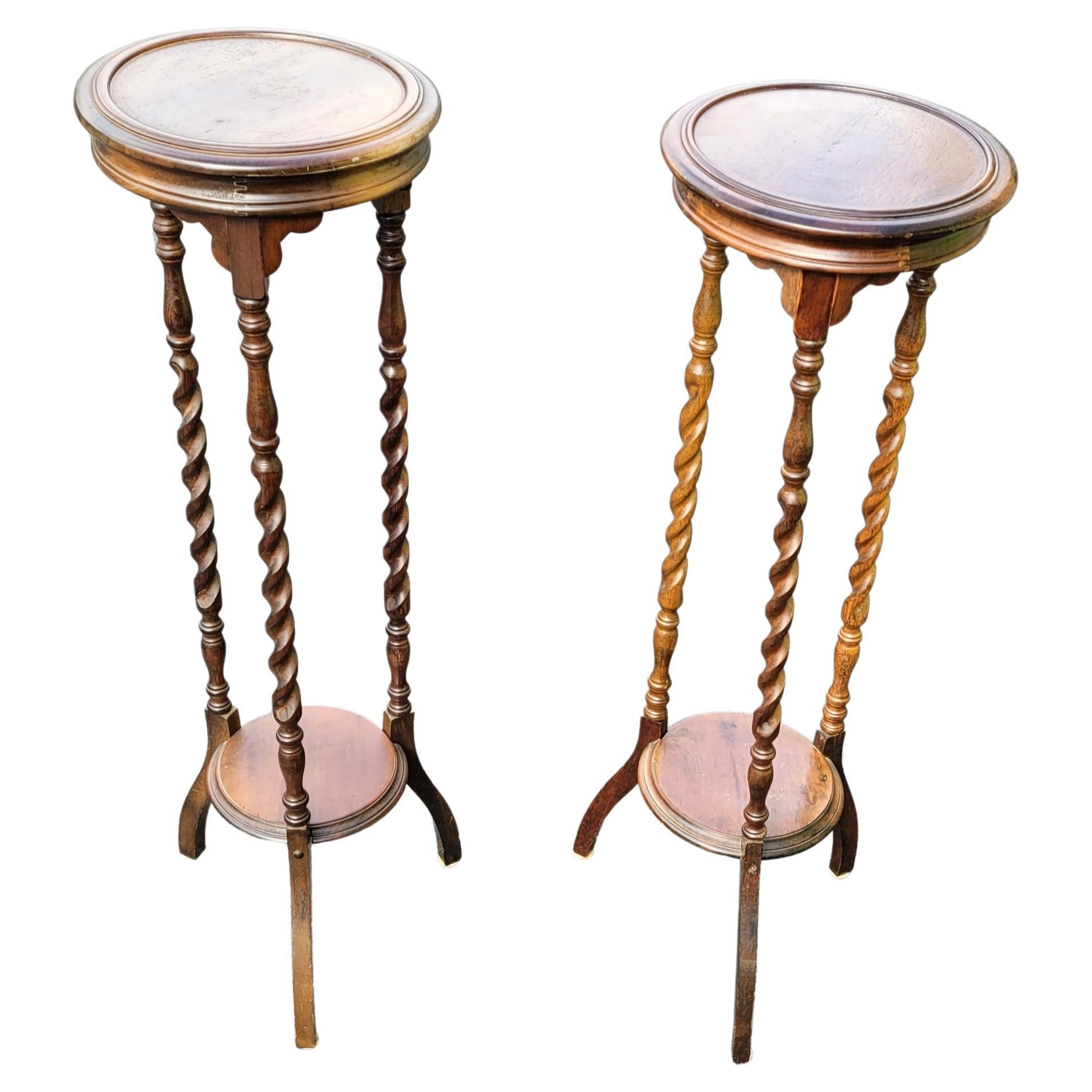 Pair of Edwardian Barley twist mahogany pedestals / plant stands.
Measure 12.25