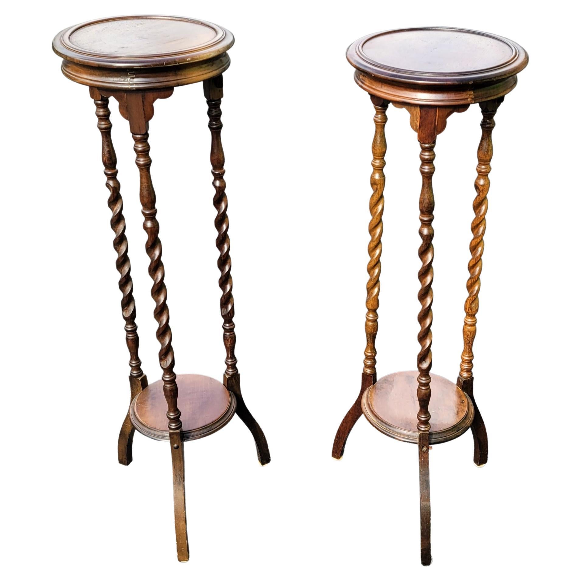 1930s Edwardian Barley Twist Mahogany Pedestals Plant Stands, Pairs 2