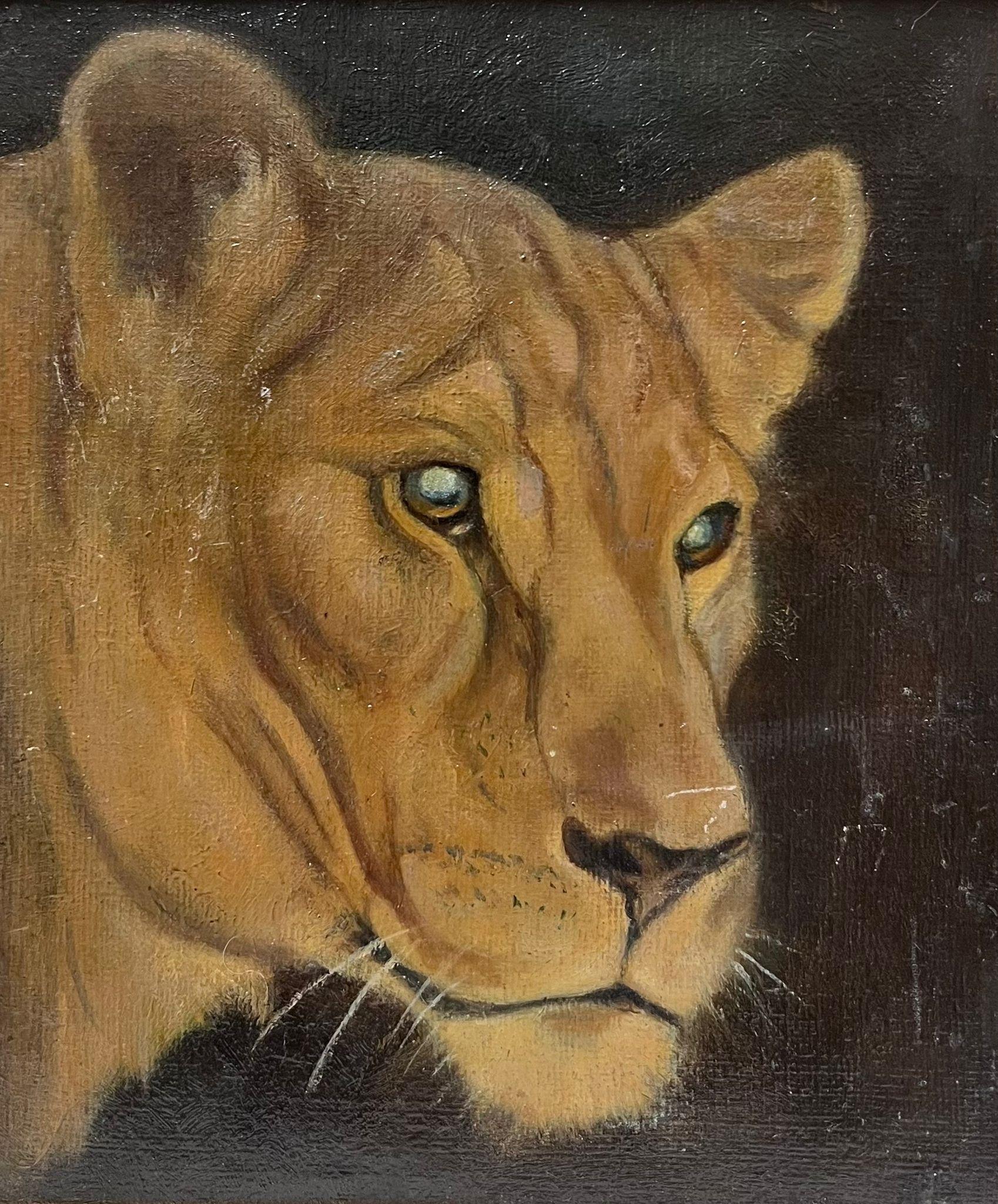 Portrait Painting 1930's English artist - Portrait de tête d'une lionne Fine British 1930's Oil Painting Gilt Encadré