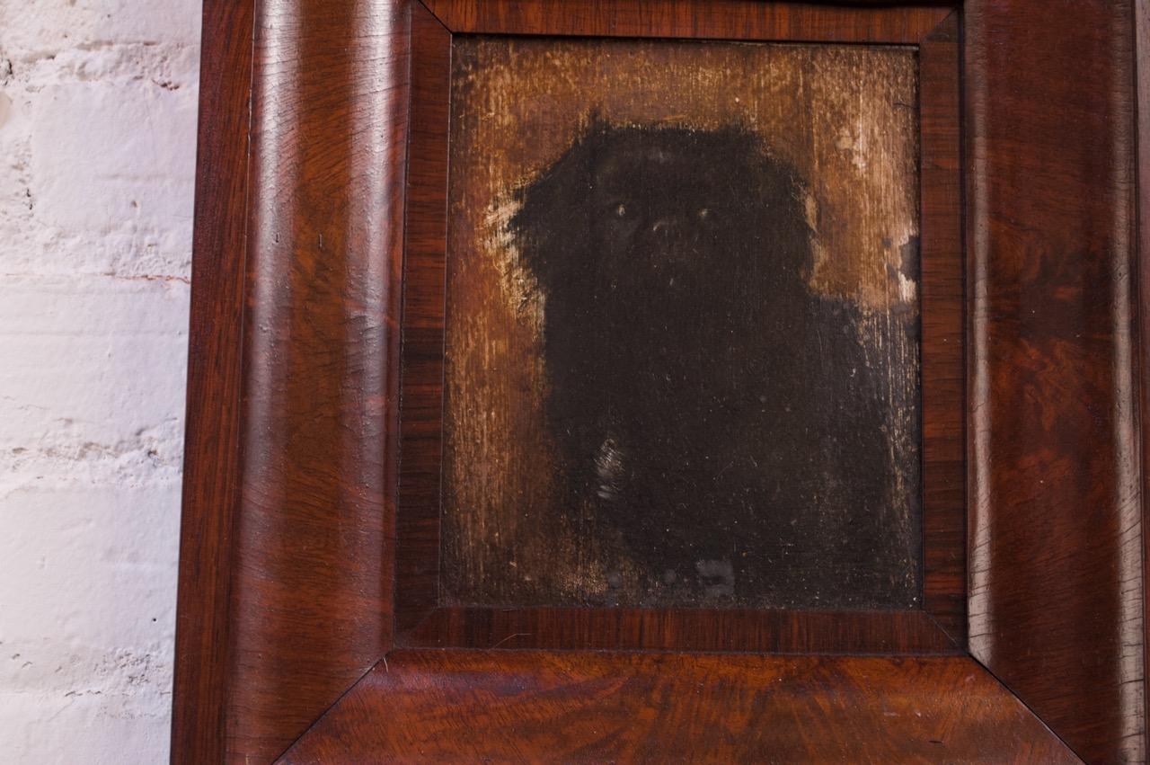 Interessante olio su tela raffigurante uno spaniel inglese toy, circa anni '30. La cornice originale è una bella radica di noce. Leggera usura dovuta all'età e all'uso.
Firmato, annotato sul verso.
Misure: H. H. 25