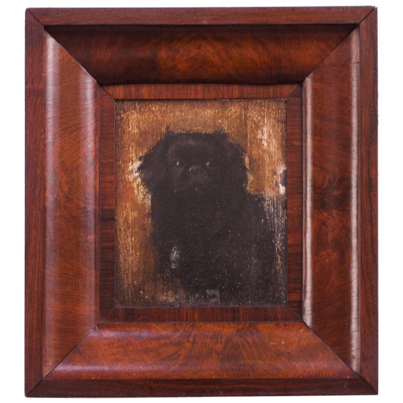 1930s "English Toy Spaniel" Oil on Canvas in Burl Frame