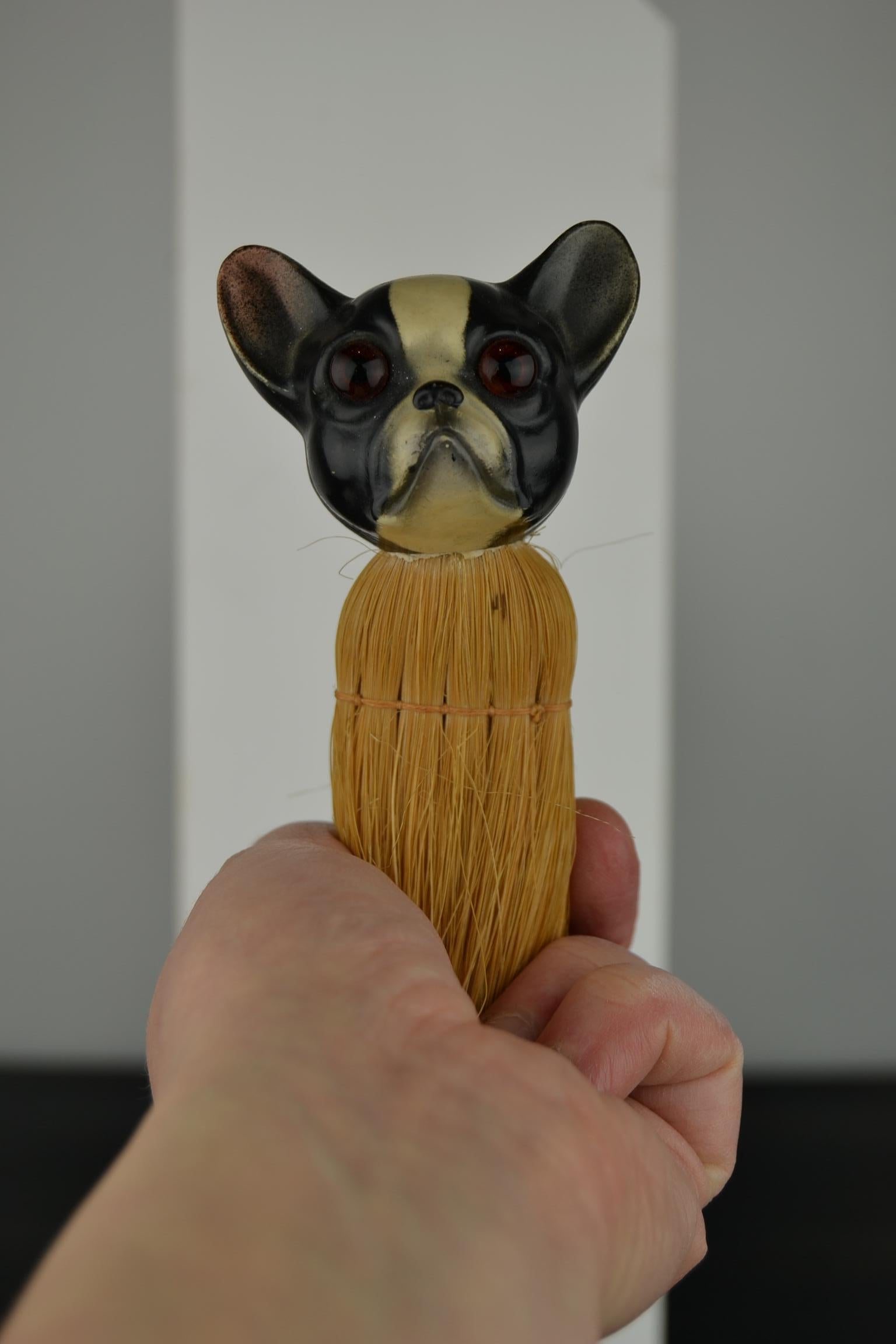 1930s French Bulldog Brush with Turtle Shell Head, Europe For Sale 7