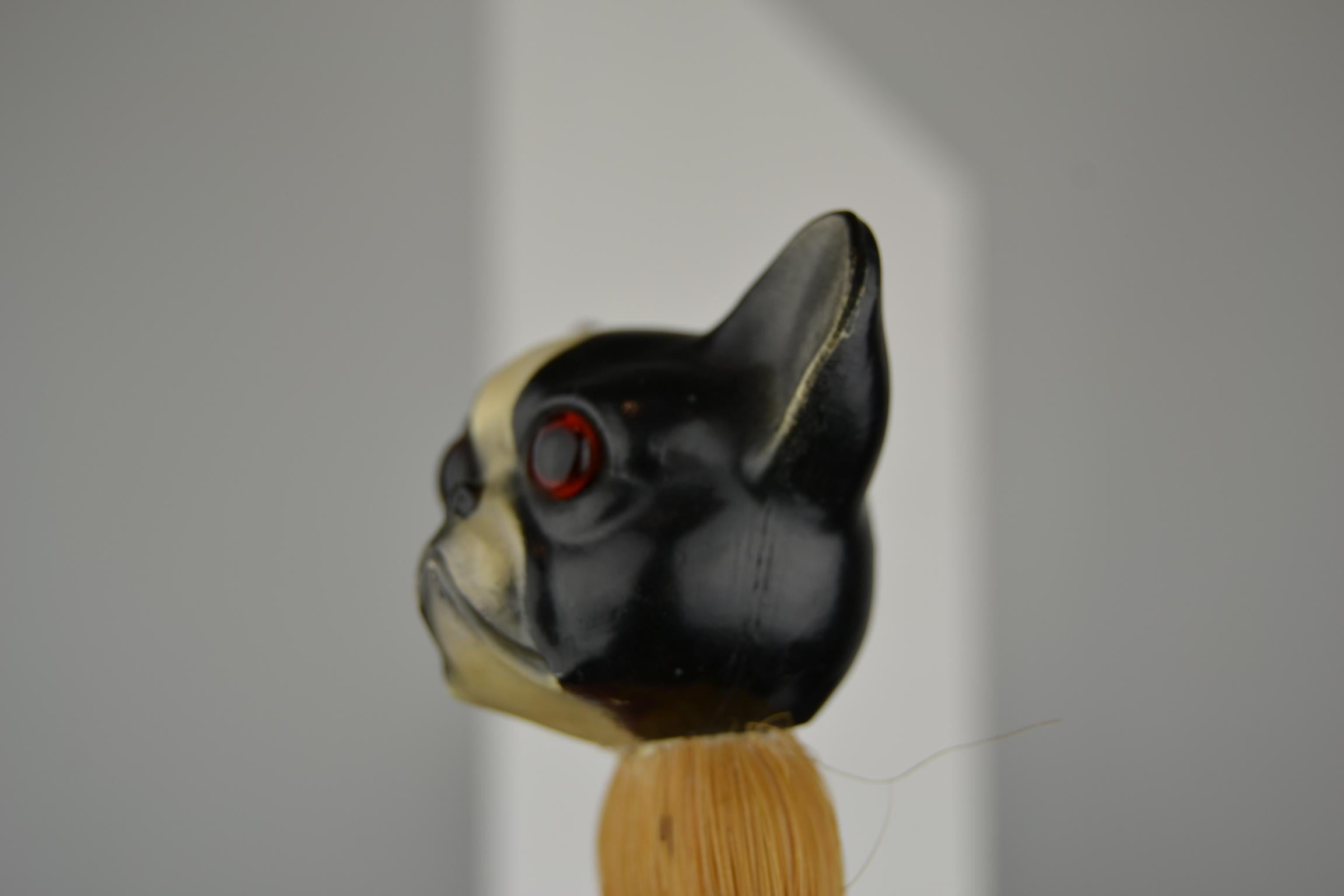 20th Century 1930s French Bulldog Brush with Turtle Shell Head, Europe For Sale