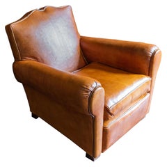 Animal Skin Armchairs