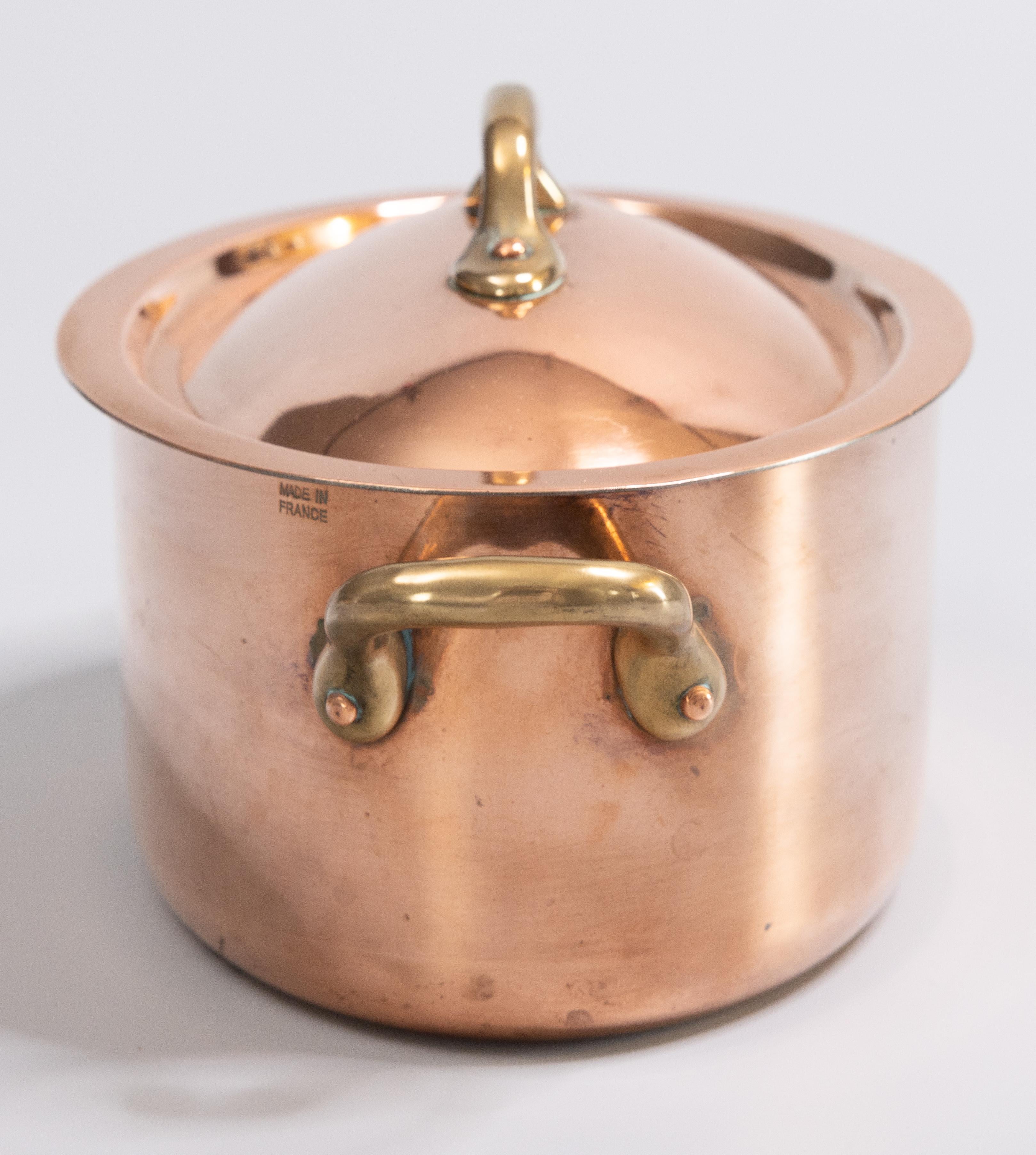 20th Century 1930s French Lidded Oval Copper & Brass Handled Pot