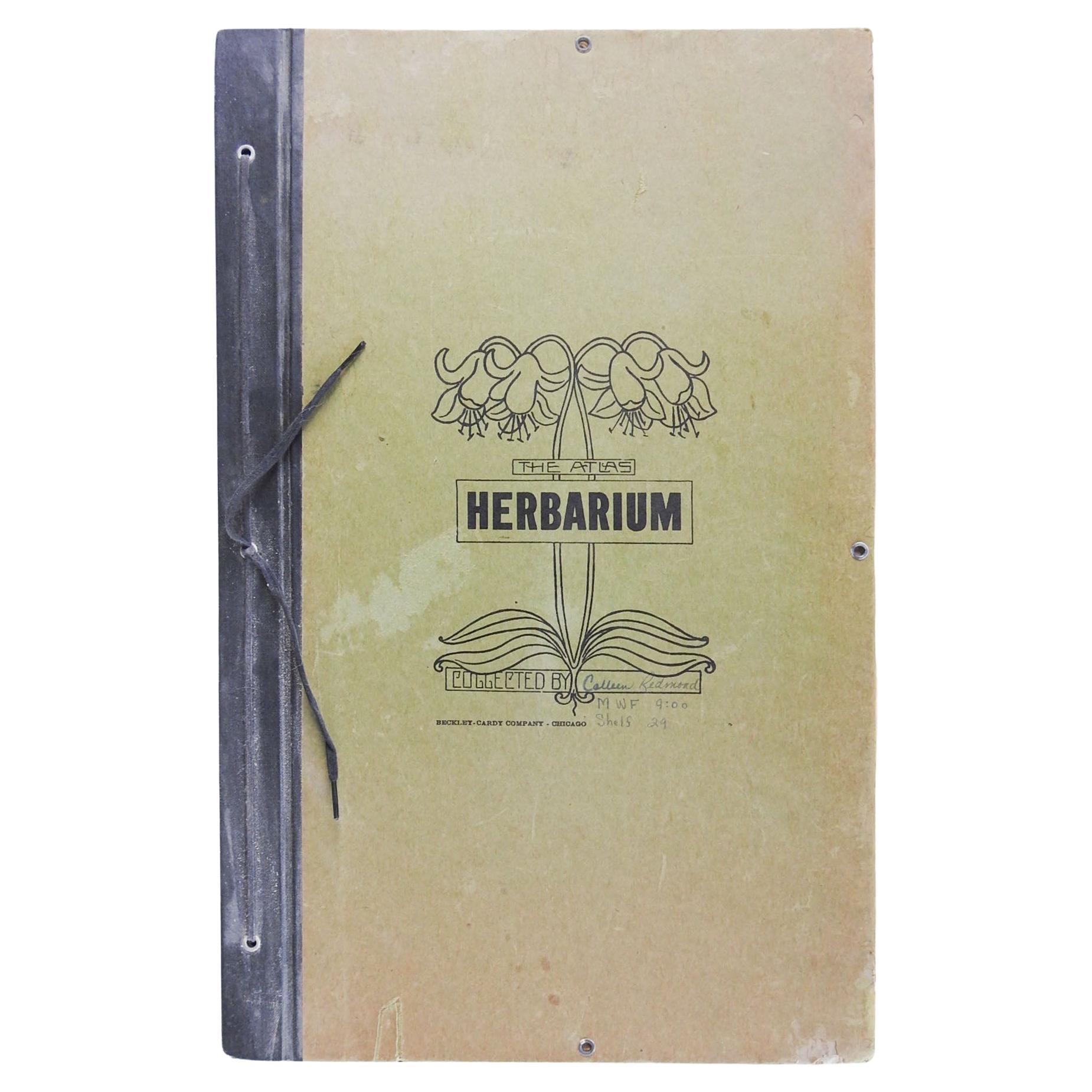 1930s Herbarium Mars Hill North Carolina 34 Pressed Botanical Specimens For Sale