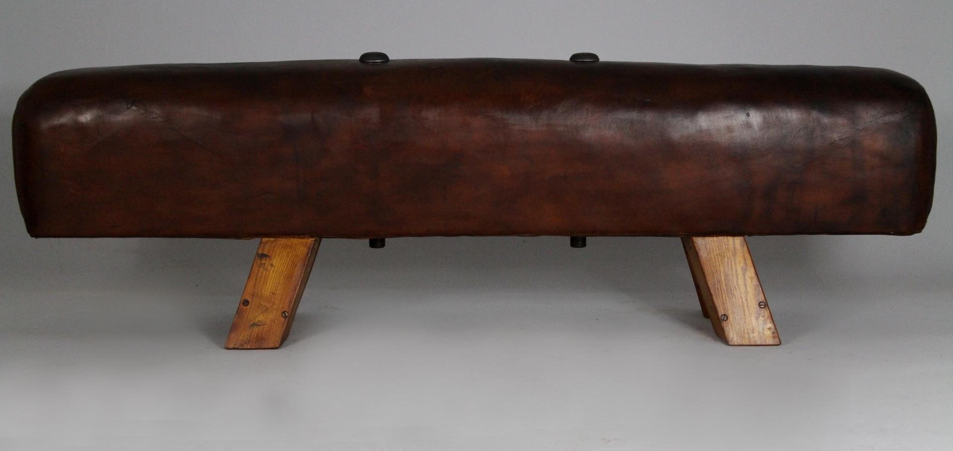 gym horse bench
