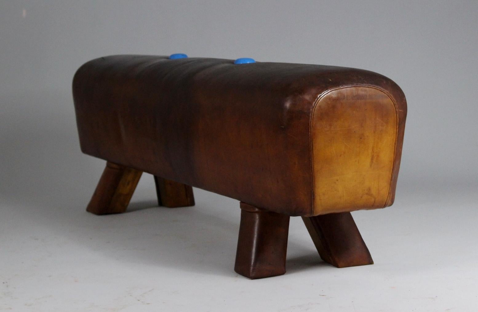 German 1930s Leather Gym Pommel Horse Bench For Sale