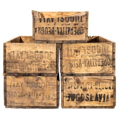 Juego de cinco cajas originales de exportación de frutas de 1930