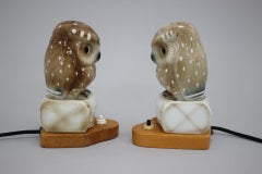1930s Pair of Porcelain Owl Art Deco Table Lamps, Czechoslovakia