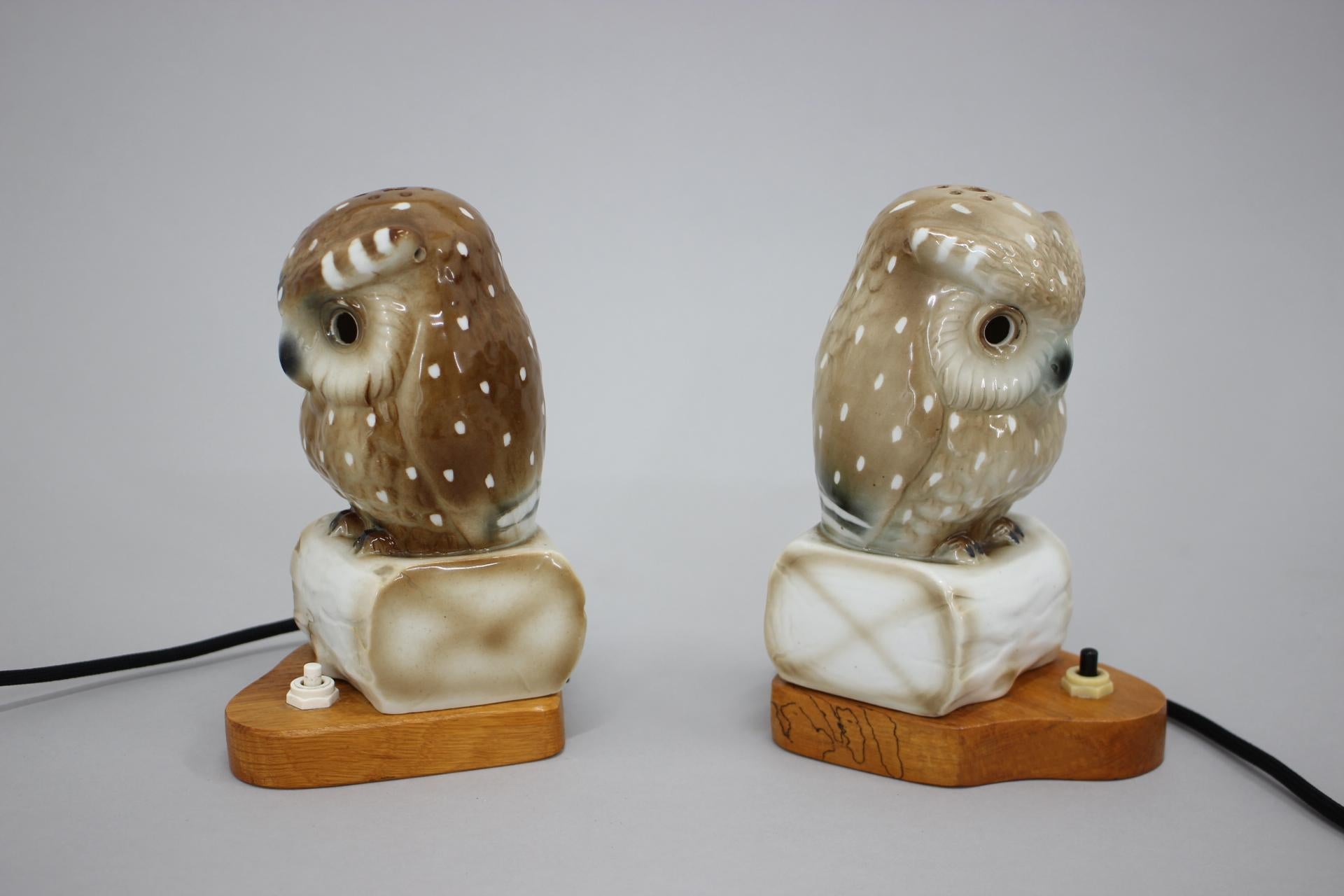 Mid-Century Modern 1930s Pair of Porcelain Owl Art Deco Table Lamps, Czechoslovakia For Sale