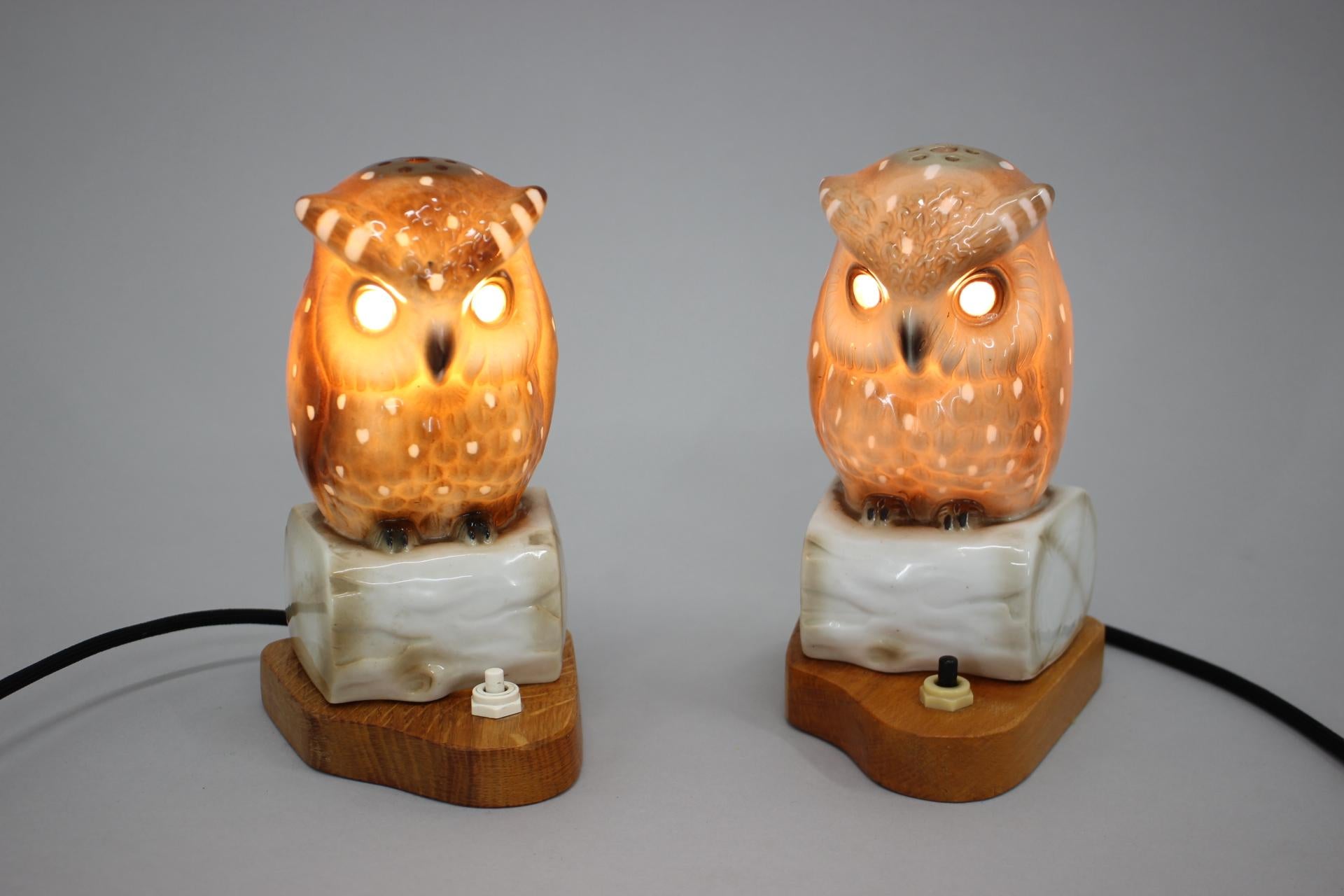 Mid-20th Century 1930s Pair of Porcelain Owl Art Deco Table Lamps, Czechoslovakia For Sale