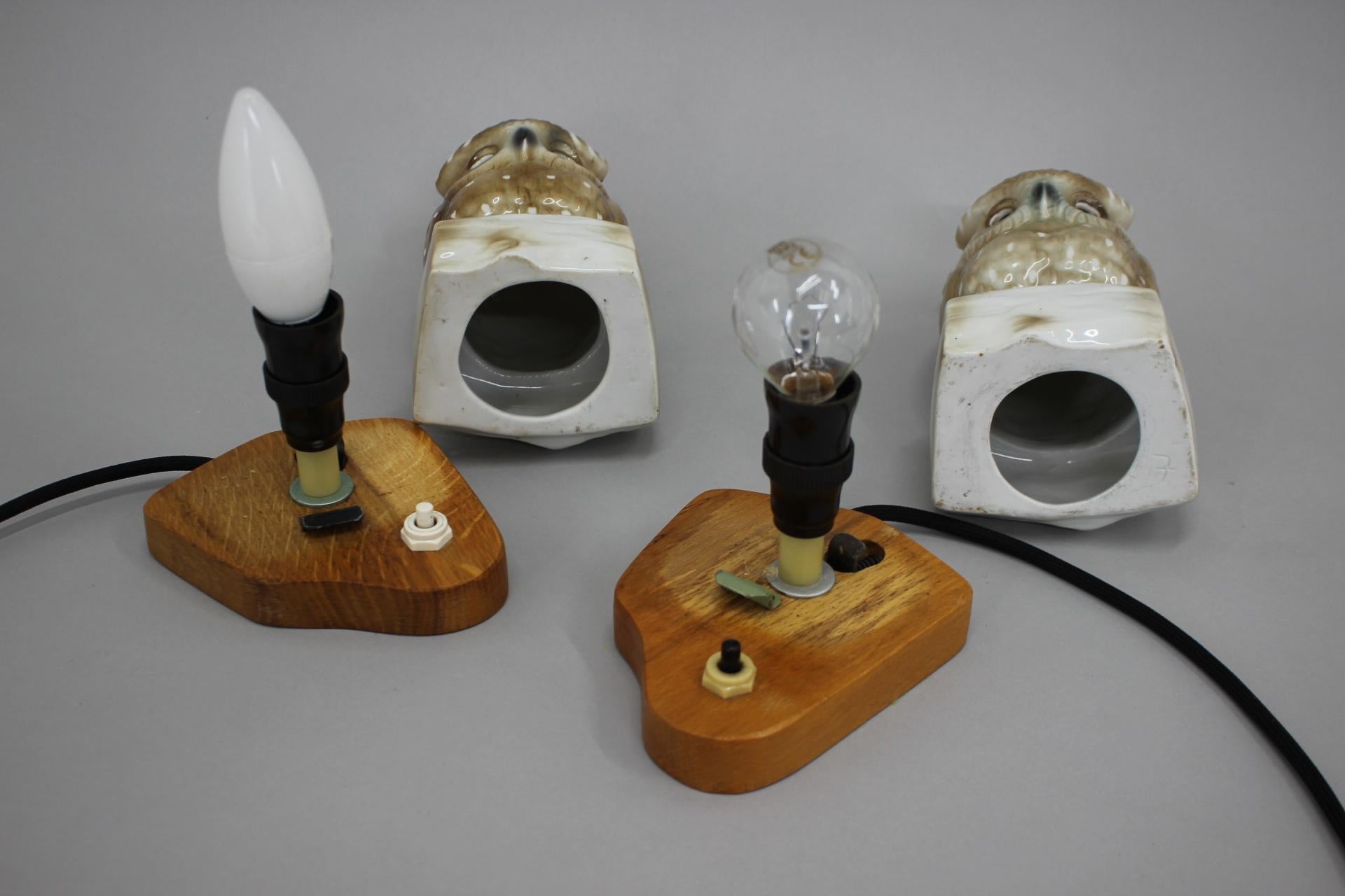 1930s Pair of Porcelain Owl Art Deco Table Lamps, Czechoslovakia 3