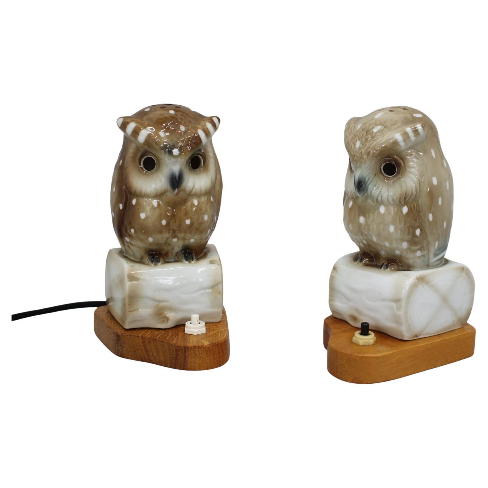 1930s Pair of Porcelain Owl Art Deco Table Lamps, Czechoslovakia For Sale