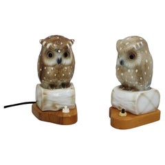 Vintage 1930s Pair of Porcelain Owl Art Deco Table Lamps, Czechoslovakia